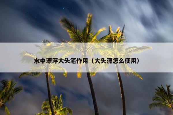 水中漂浮大头笔作用（大头漂怎么使用）