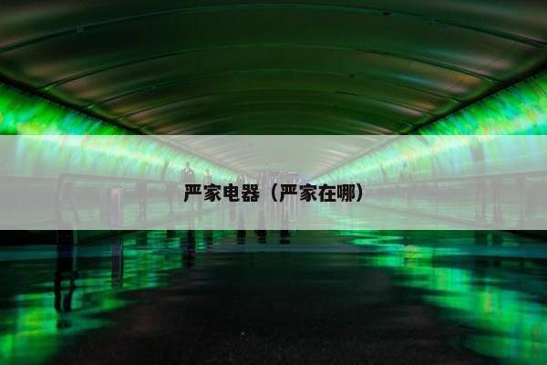 严家电器（严家在哪）