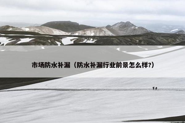 市场防水补漏（防水补漏行业前景怎么样?）