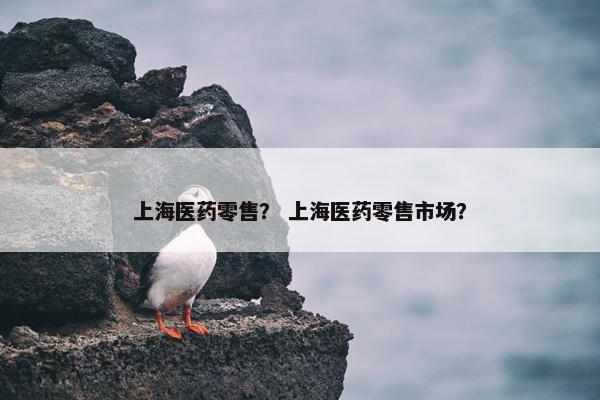 上海医药零售？ 上海医药零售市场？