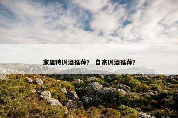 家里特调酒推荐？ 自家调酒推荐？