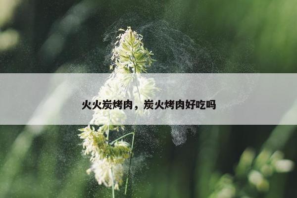 火火炭烤肉，炭火烤肉好吃吗