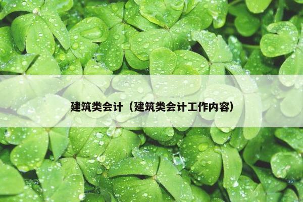建筑类会计（建筑类会计工作内容）