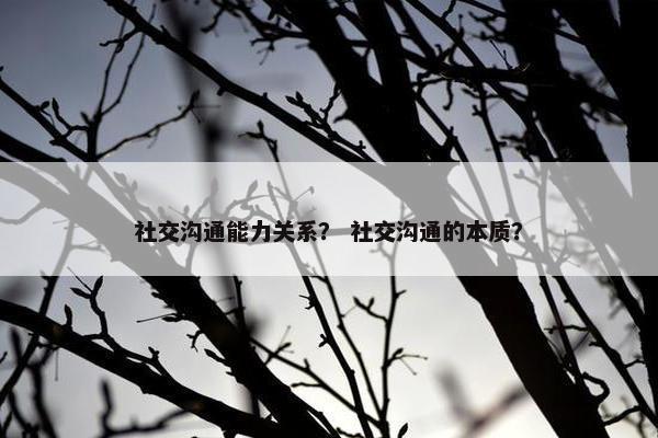 社交沟通能力关系？ 社交沟通的本质？