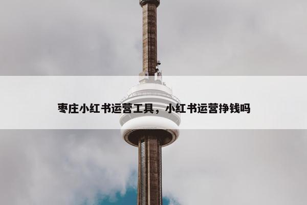 枣庄小红书运营工具，小红书运营挣钱吗