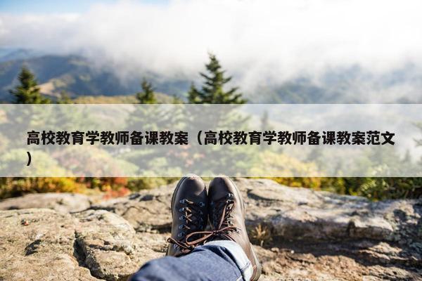 高校教育学教师备课教案（高校教育学教师备课教案范文）