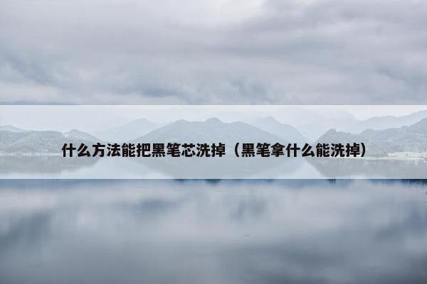 什么方法能把黑笔芯洗掉（黑笔拿什么能洗掉）