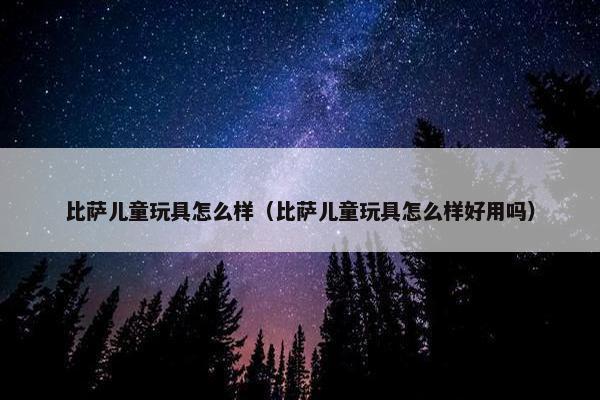 比萨儿童玩具怎么样（比萨儿童玩具怎么样好用吗）