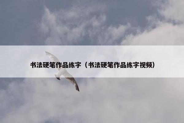 书法硬笔作品练字（书法硬笔作品练字视频）