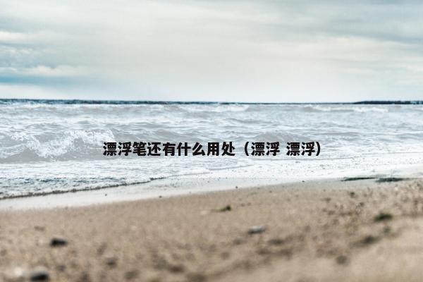 漂浮笔还有什么用处（漂浮 漂浮）