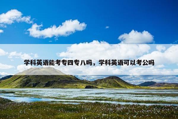 学科英语能考专四专八吗，学科英语可以考公吗