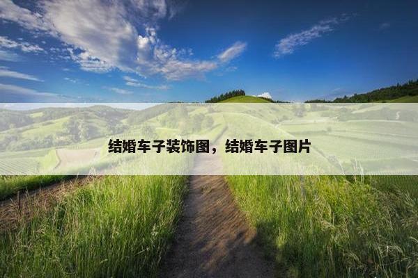 结婚车子装饰图，结婚车子图片