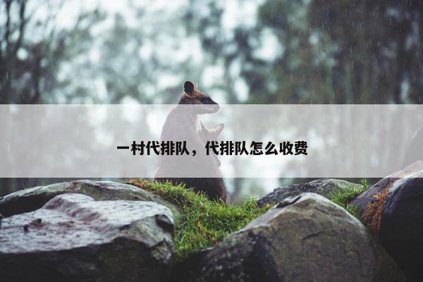 一村代排队，代排队怎么收费