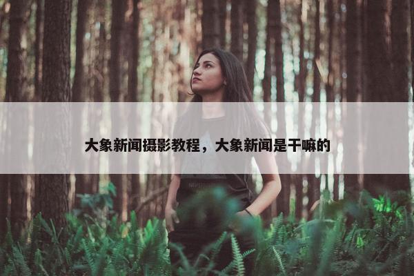 大象新闻摄影教程，大象新闻是干嘛的