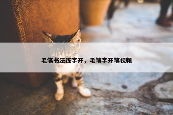 毛笔书法练字开，毛笔字开笔视频