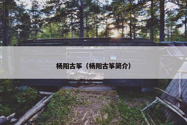杨阳古筝（杨阳古筝简介）