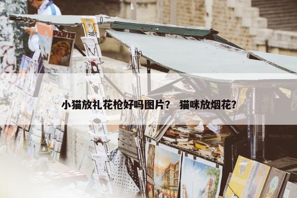 小猫放礼花枪好吗图片？ 猫咪放烟花？