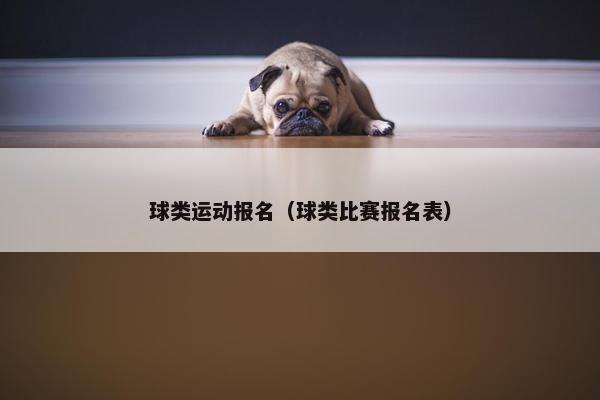 球类运动报名（球类比赛报名表）