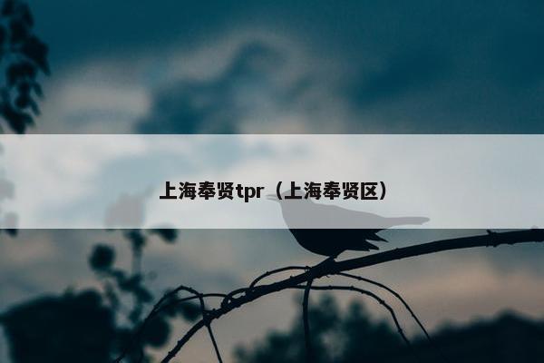 上海奉贤tpr（上海奉贤区）