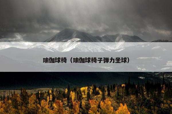瑜伽球椅（瑜伽球椅子弹力坐球）