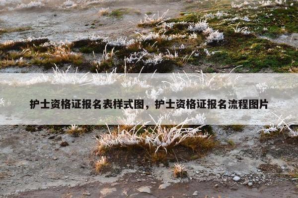 护士资格证报名表样式图，护士资格证报名流程图片
