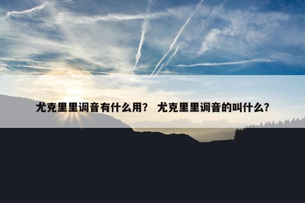尤克里里调音有什么用？ 尤克里里调音的叫什么？