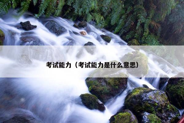考试能力（考试能力是什么意思）
