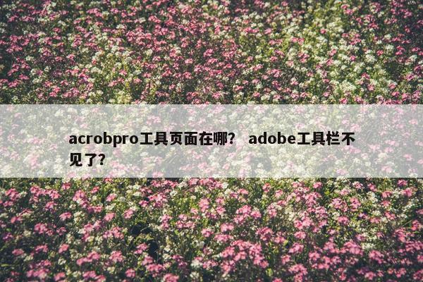 acrobpro工具页面在哪？ adobe工具栏不见了？