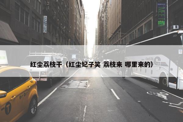 红尘荔枝干（红尘妃子笑 荔枝来 哪里来的）