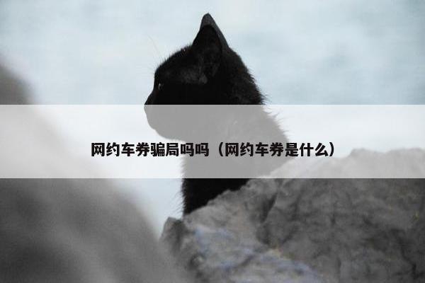 网约车券骗局吗吗（网约车券是什么）