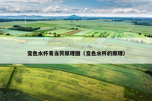 变色水杯麦当劳原理图（变色水杯的原理）