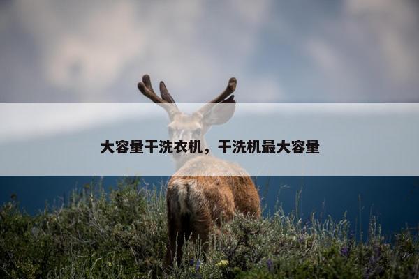 大容量干洗衣机，干洗机最大容量
