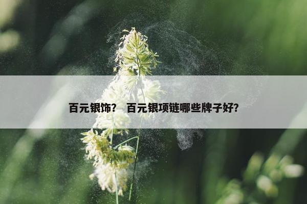 百元银饰？ 百元银项链哪些牌子好？
