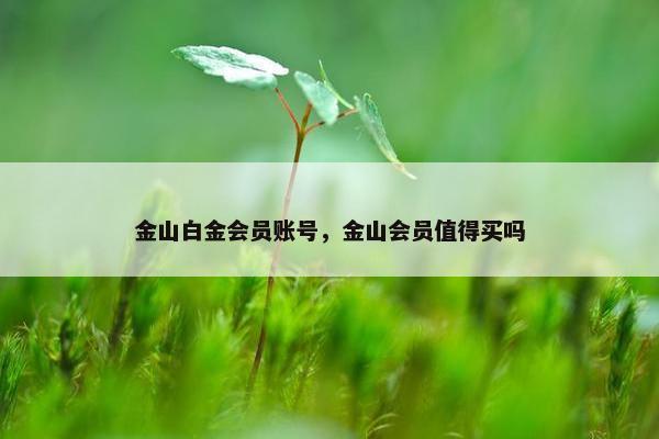 金山白金会员账号，金山会员值得买吗