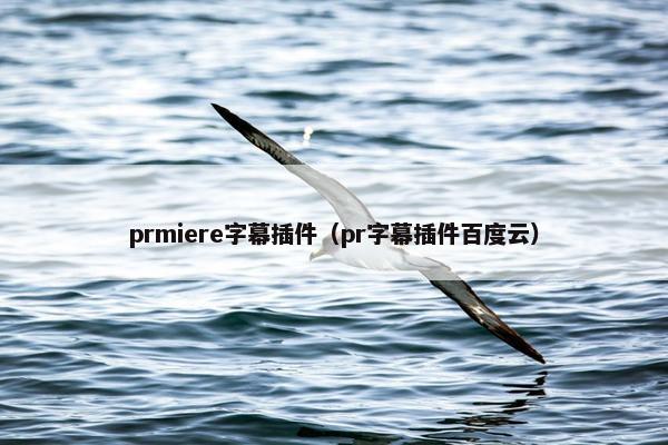 prmiere字幕插件（pr字幕插件百度云）