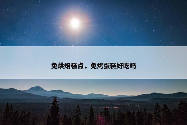 免烘焙糕点，免烤蛋糕好吃吗