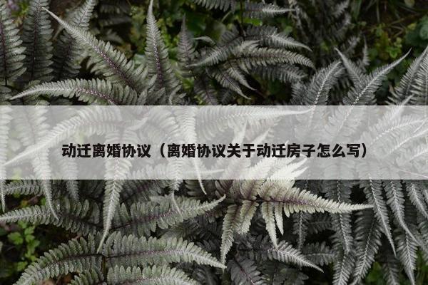 动迁离婚协议（离婚协议关于动迁房子怎么写）