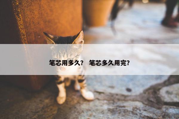 笔芯用多久？ 笔芯多久用完？