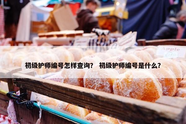 初级护师编号怎样查询？ 初级护师编号是什么？