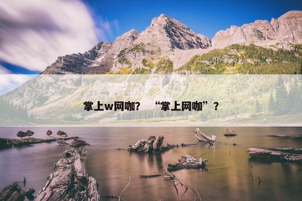掌上w网咖？ “掌上网咖”？