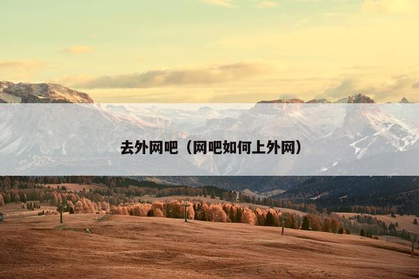 去外网吧（网吧如何上外网）