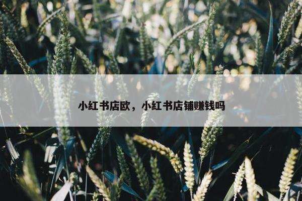 小红书店欧，小红书店铺赚钱吗