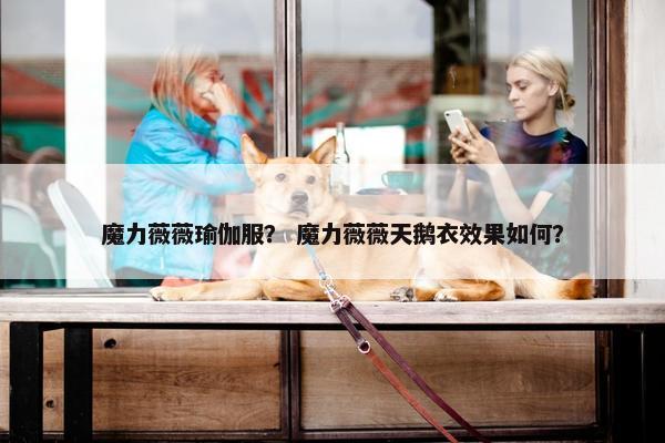 魔力薇薇瑜伽服？ 魔力薇薇天鹅衣效果如何？