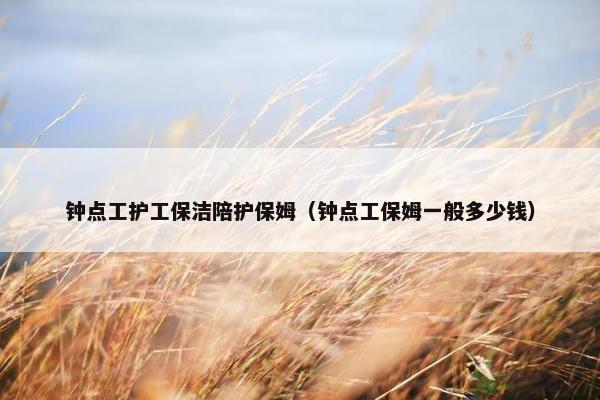 钟点工护工保洁陪护保姆（钟点工保姆一般多少钱）
