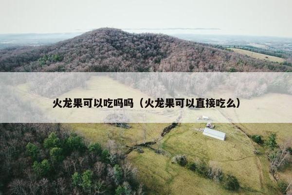 火龙果可以吃吗吗（火龙果可以直接吃么）