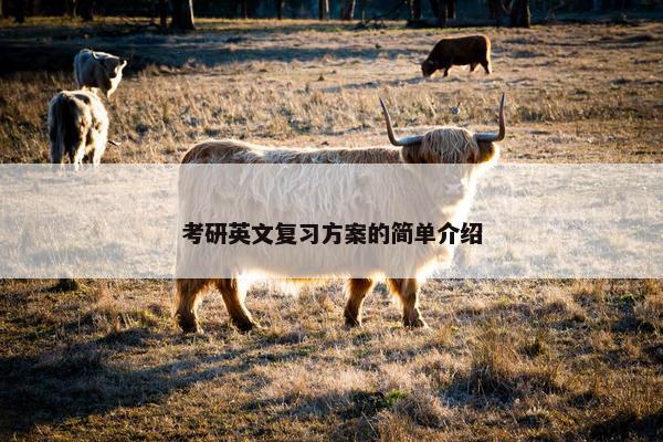 考研英文复习方案的简单介绍