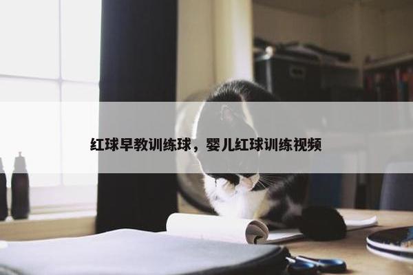 红球早教训练球，婴儿红球训练视频