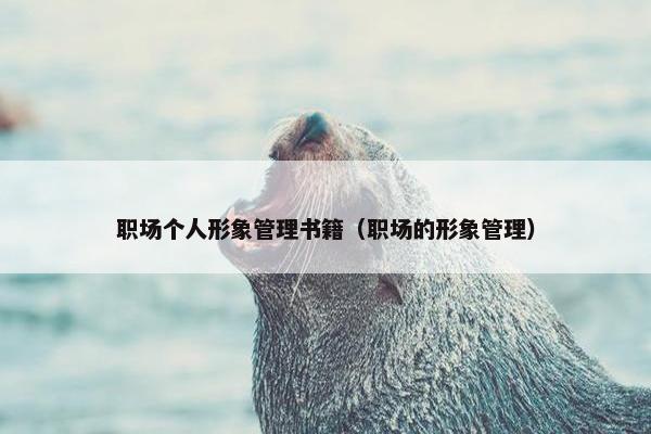 职场个人形象管理书籍（职场的形象管理）