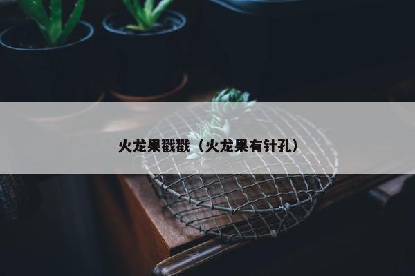火龙果戳戳（火龙果有针孔）