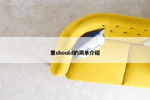 里should的简单介绍
